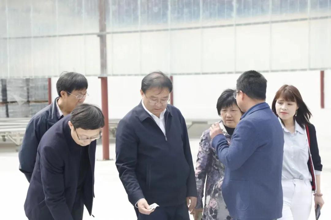全国人大常委会委员谢广祥一行领导，深入调研黄精产业园(图2)