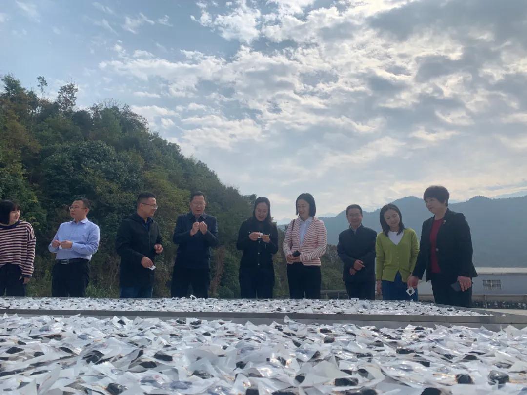 安徽省工商联主席、贵州省工商联主席及一行领导莅临冰雪容黄精产业园，调研黄精发展情况(图3)