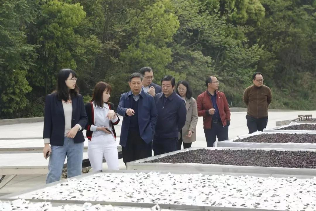 全国人大常委会委员谢广祥一行领导，深入调研黄精产业园(图2)