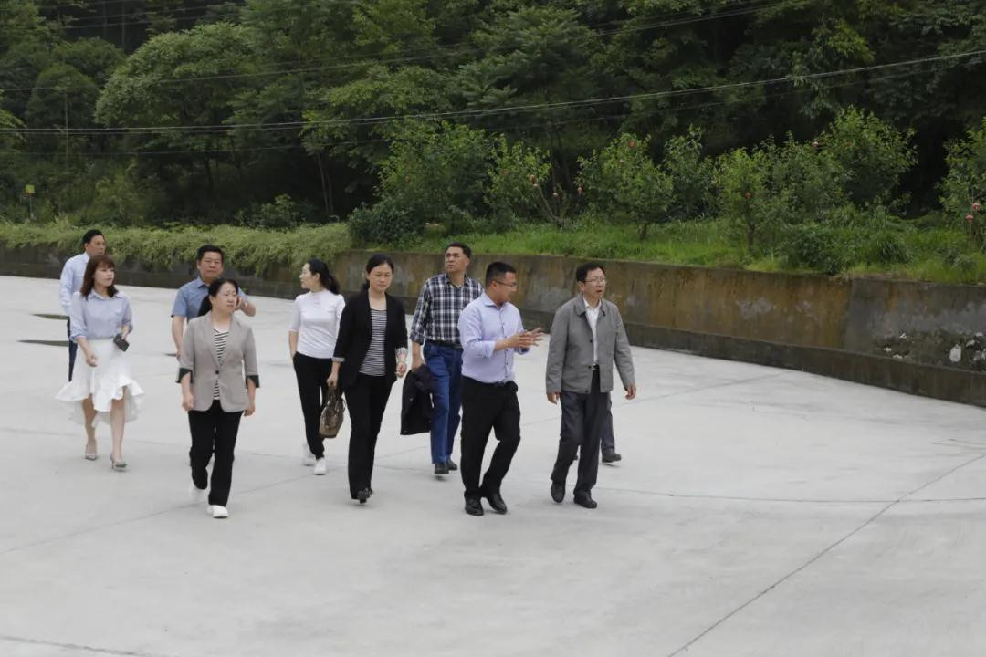 安徽省委统战部副部长缪学刚及省工商联领导一行，考察产业园(图1)
