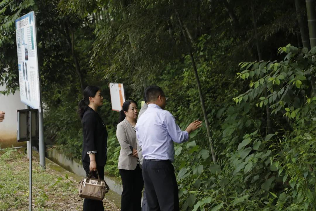 安徽省委统战部副部长缪学刚及省工商联领导一行，考察产业园(图2)