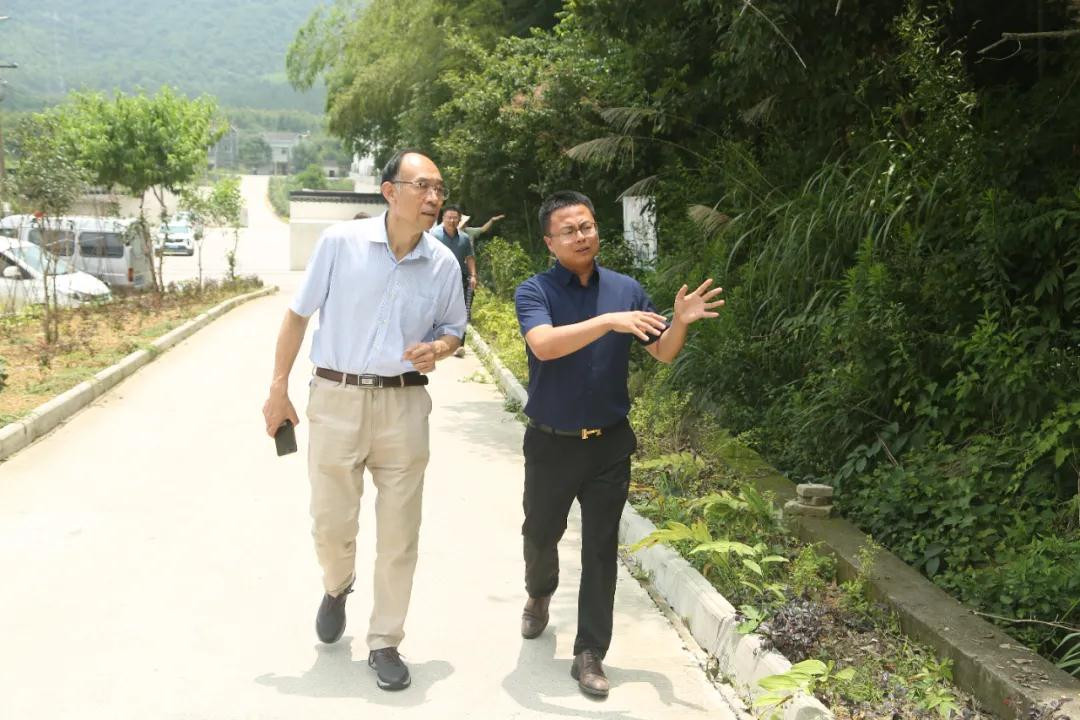 2021年7月1日 安徽省市场监督管理局标准处江家如处长及一行领导，莅临产业园调研(图3)