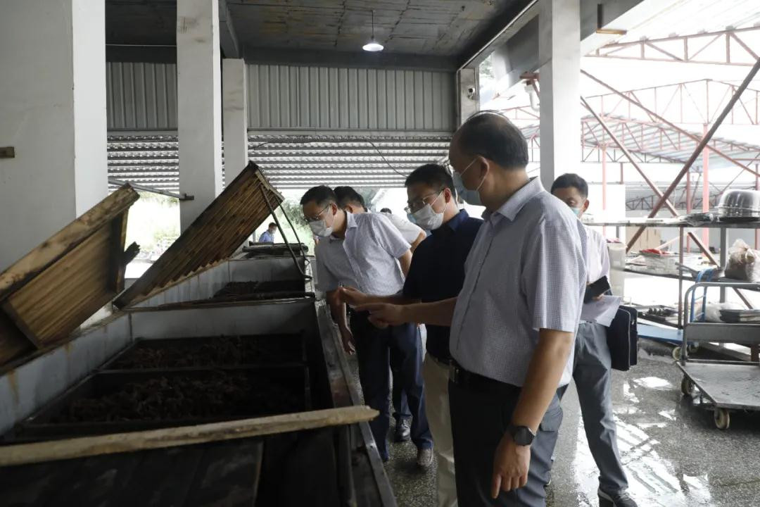 安徽省市场监督管理局一行领导莅临产业园，调研食品安全生产和疫情防控工作(图2)