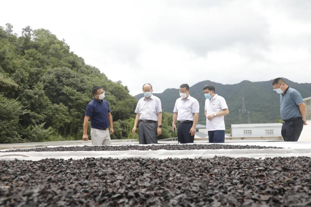 安徽省市场监督管理局一行领导莅临产业园，调研食品安全生产和疫情防控工作(图3)